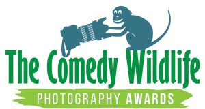 Wildlife Comedy Awards 2019