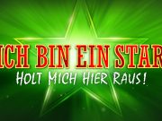 Ich bin ein Star – Holt mich hier raus! Logo der 15. Staffel